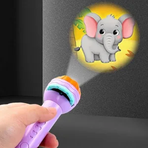 Mini Flashlight Projector Toy
