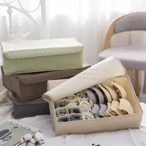 Neatly Tucked: Socks & Undergarments Clothing Organizer Container Box for Tidy Dresser Drawers