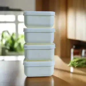 4 Pcs Mini Food Storage Jar