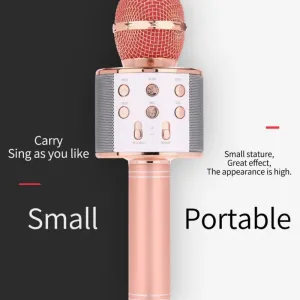 Wireless Microphone Hifi Speaker